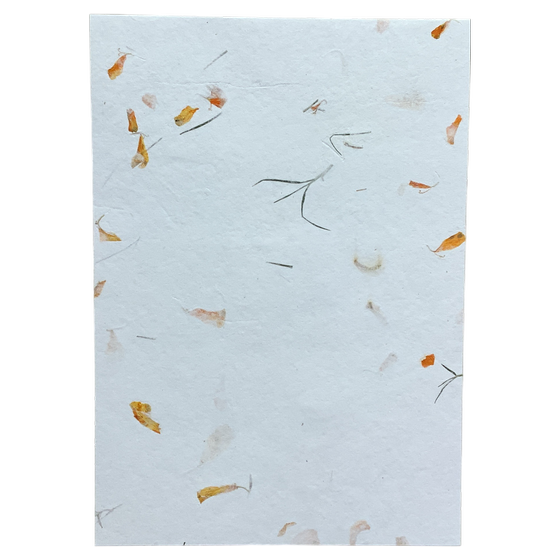 Briefbogen aus Baumwollpapier mit Ringelblumen