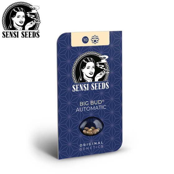 Samen, Sensi Seeds®, Big Bud, Auto