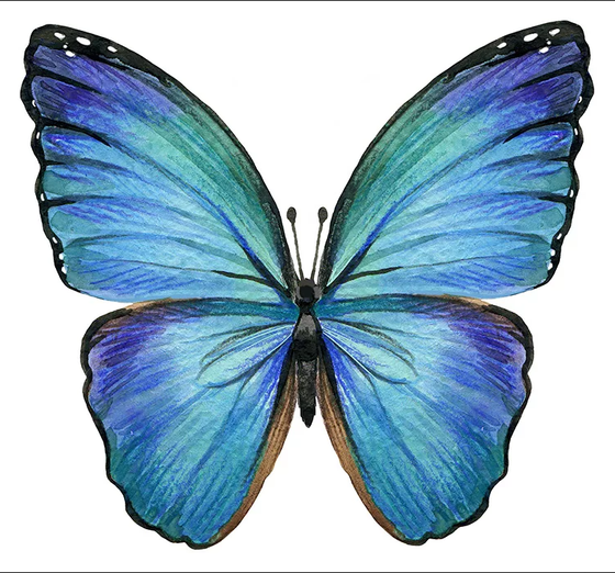 Serviette | Papier-/ Lunchserviette Butterfly