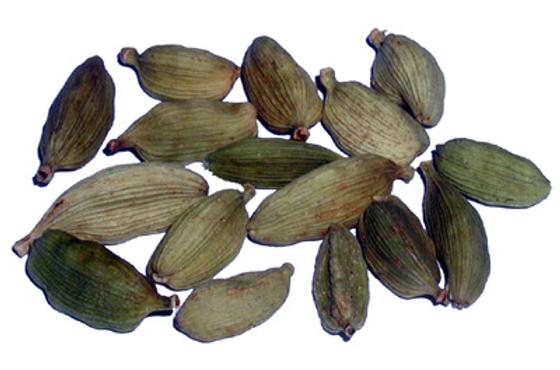 Kardamom