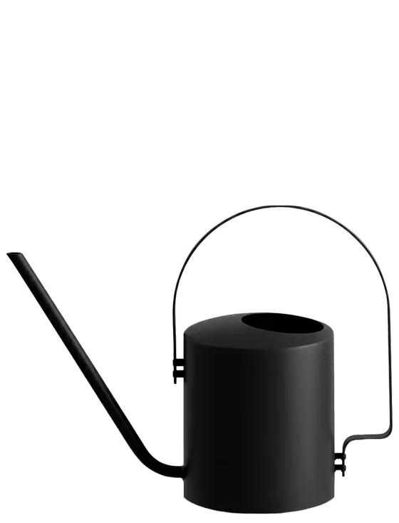 Arne Jacobsen Gieskanne Stahl