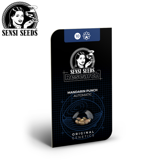 Samen, Sensi Seeds®, Mandarin Punch, Auto