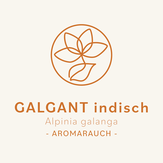 Galgant indisch
