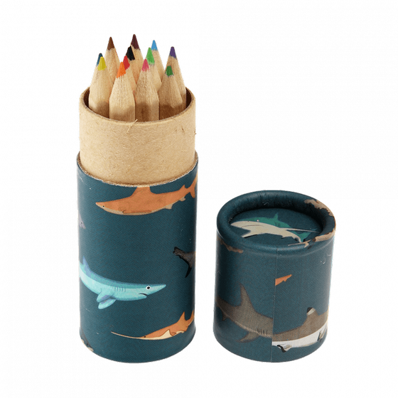 Rex London Dose mit 12 Buntstiften Sharks