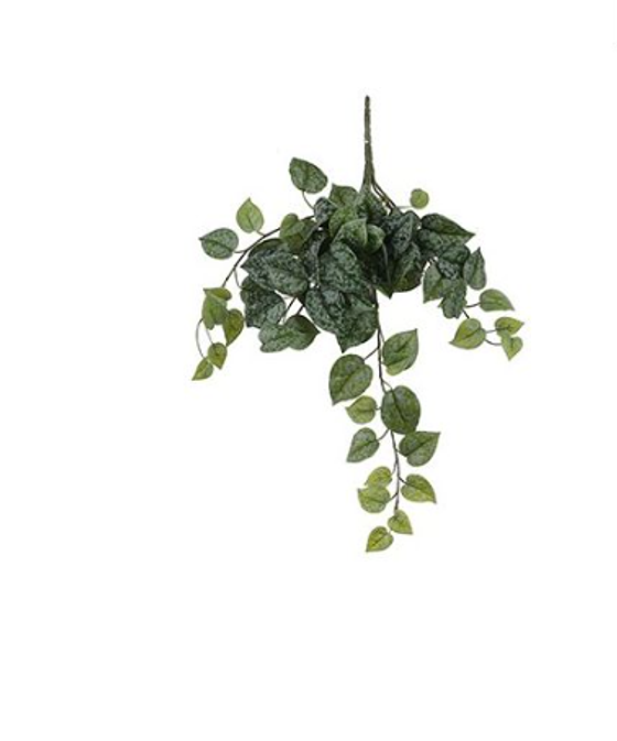 Kunstpflanze | Zweig Scindapsus hängend - grün/45cm
