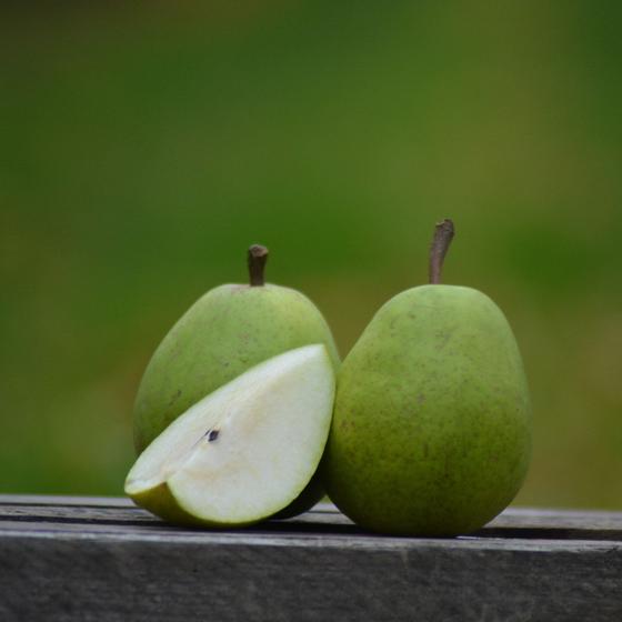 alexander lucas birne