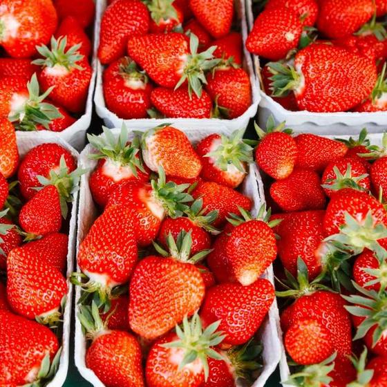 Erdbeeren 4Kg