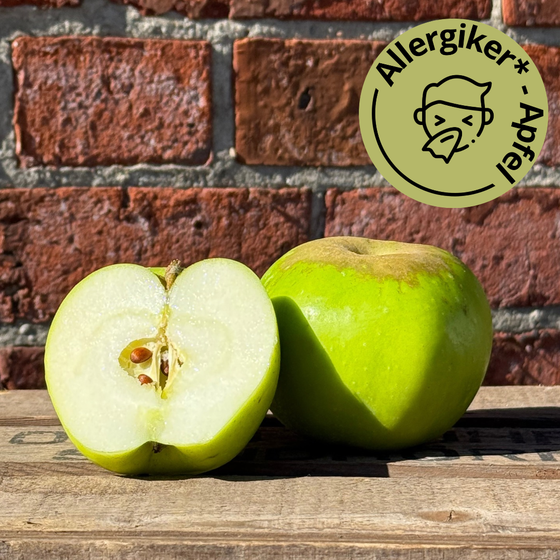 Bio Seestermüher Zitronenapfel 
