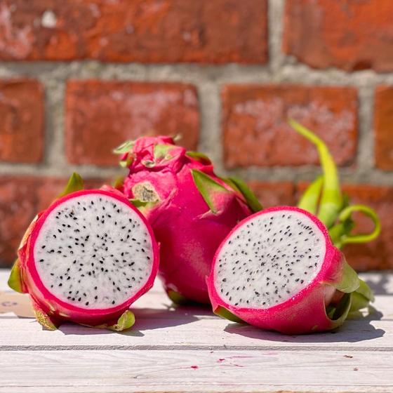 Drachenfrucht 4 Stk.