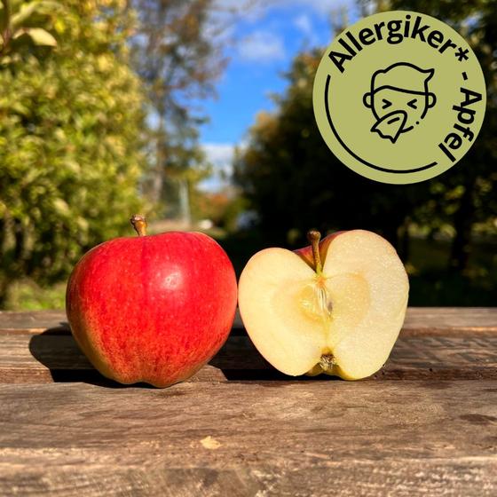 Altländer Pfannkuchen Apfel 