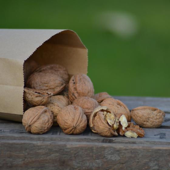 Große Walnüsse  Noix de Grenoble