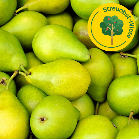 Streuobst Bürgermeister Birnen 2.2KG