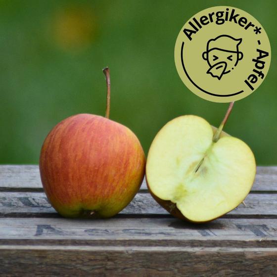 Rubinette Allergiker Apfel