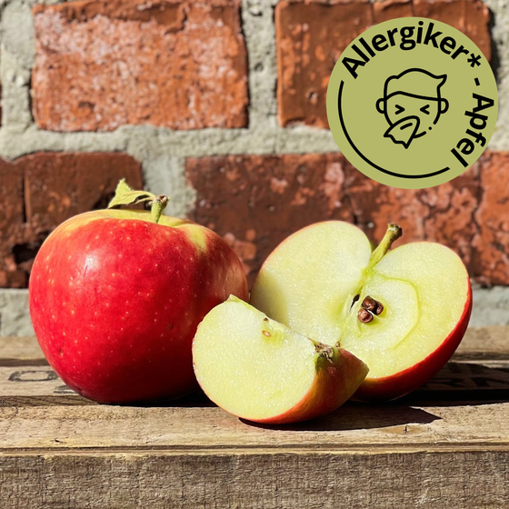 Allergiker Apfel ZIN168 8kg