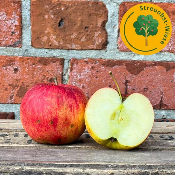 Baumanns Renette Streuobst