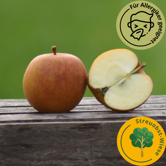 Bio Boskoop unbehandelt