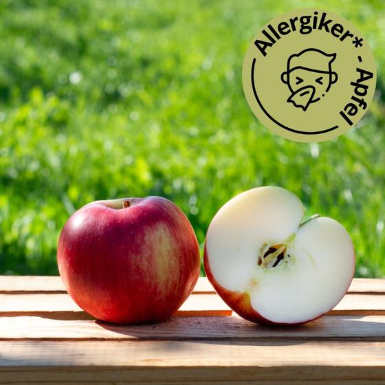 Santana Allergiker Apfel