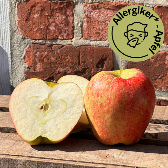 Bio Knebusch Apfel 2.2KG