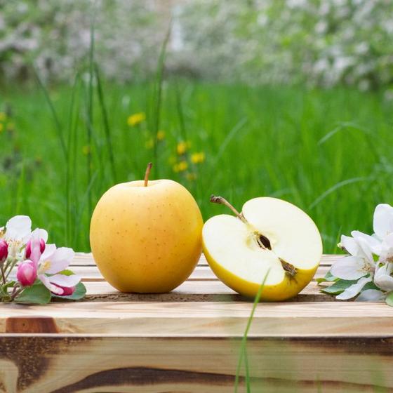 golden delicious Apfel