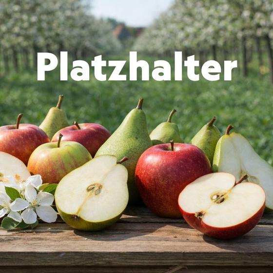 Apfel &  Birnen Mix - Büroobst 