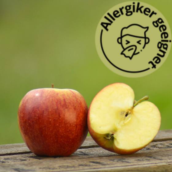 Apfel-Abo | Wellant | 6 Monate | 1x pro Woche | 8Kg 