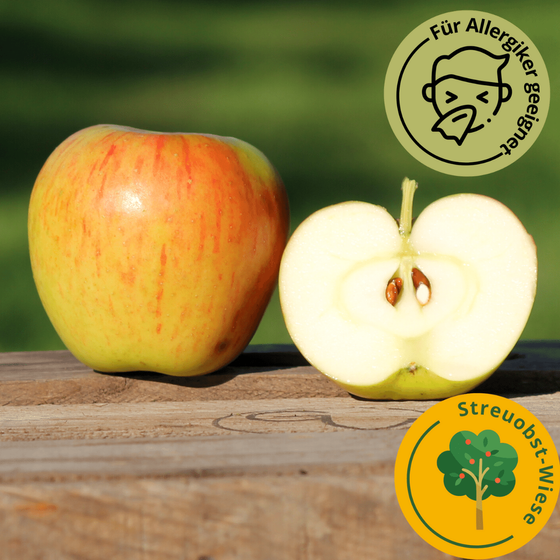 Apfelsorte Goldparmäne