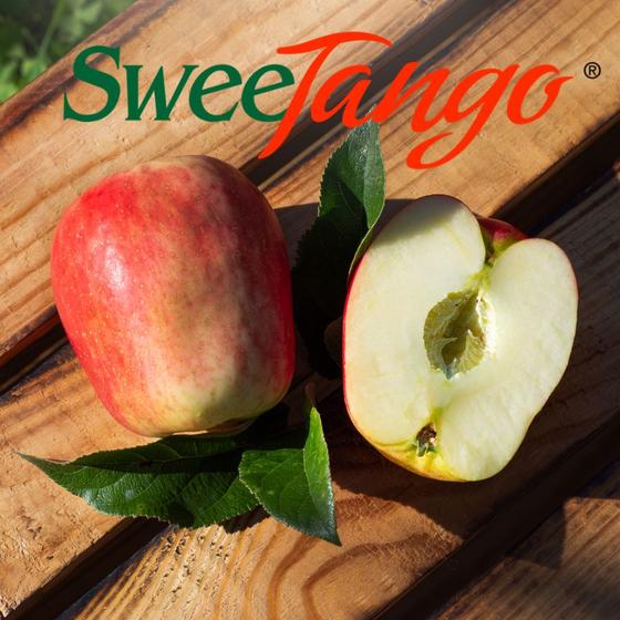 Swee Tango Apfel 