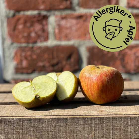 Bio Ribston Pepping Apfel 4KG