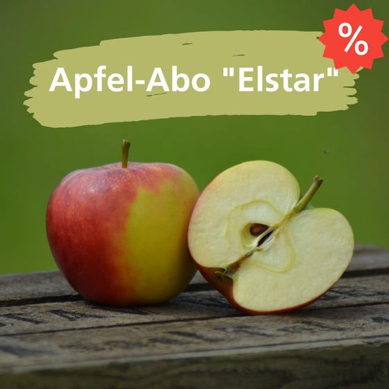 Apfelabo Elstar  Altesland