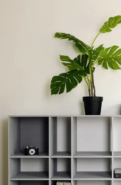 Bücheregal Grau aus Holz online bestellen