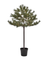 Weihnachtsbaum "Peuce" mit 110 LED´s von House Doctor
