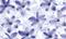 Transparentpapier FRUITS & FLOWERS, 115 g/m², 50,5 x 70 cm