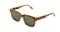 Sonnebrille KOMONO BOBBY amber shell