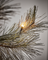 Weihnachtsbaum "Peuce" mit 110 LED´s von House Doctor