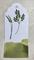 Tim Holtz Distress Ink Tusche Stempelkissen, forest moss, 7,5x7,5 cm