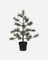 Weihnachtsbaum "Peuce" mit 40 LED´s von House Doctor