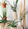 Kreativbox mit ﻿über 590 Holzteilen von folia