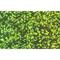 Hologrammfolie 50 µm, 50 x 70 cm, verschiedene Farben, 5 Bogen/Farbe