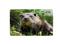 Frühstücksbrettchen - Otter 2