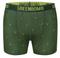 Greenbomb TRUNK BIKE VINTAGE SMALL
