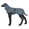 Hundemantel Stormy oliv