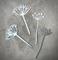 Stanzschablone/ Cutting dies Set Pusteblume & Wildmöhre , bis 6x10 cm, 2-tlg.