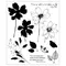 Clear Stamp Set "Wild Blooms by Willow W.", 11-tlg, 12,7x20,3cm 
