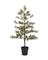 Tannenbaum "Peuce" mit LED´s von House Doctor
