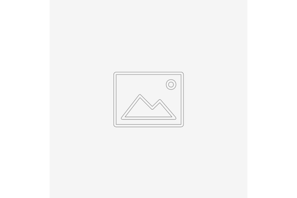 Eule - 10 cm | Putzige Eule in verschiedenen Größen | Artikelnummer: 5214