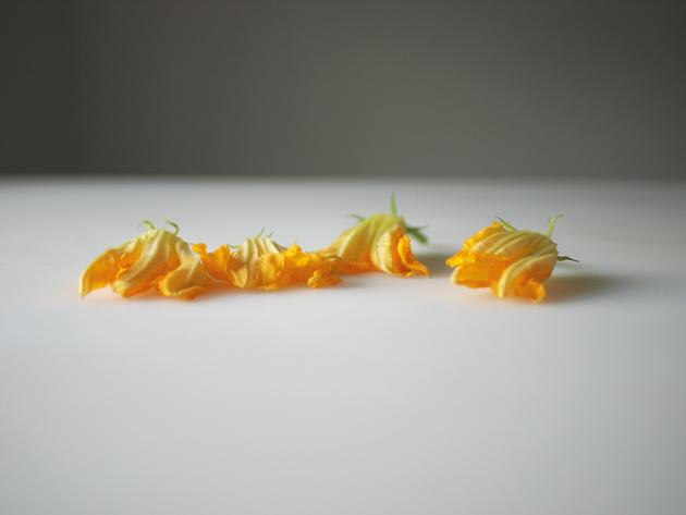 One dollar’s worth of local squash blossoms, 2010 | Edition 6+2 AP, Serie: 