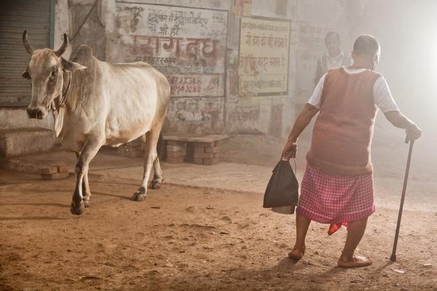 Cow and Man, 2011  | Edition 7 | Artikelnummer: AWA_03-72x108PAL_SF3