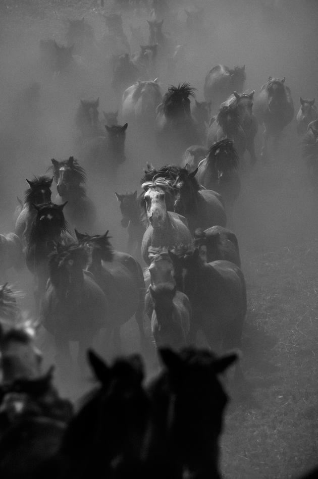 Sabucedo, Galicia, Spain (08), 2009 | Edition 20, Serie  