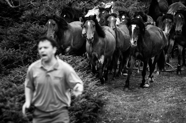 Sabucedo, Galicia, Spain (06), 2009 | Edition 20, Serie  