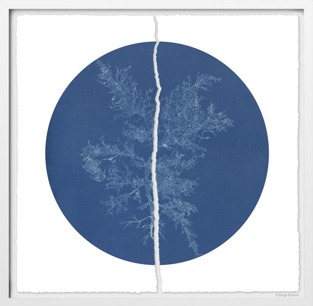 Dust Flower No5 | FineArt Print, Unikat, mit Holzrahmen | Artikelnummer: DF_06_100x100